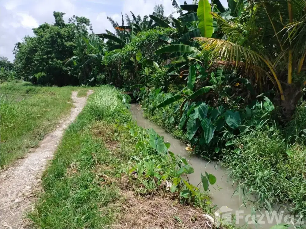 Land for sale in Tabanan, Bali