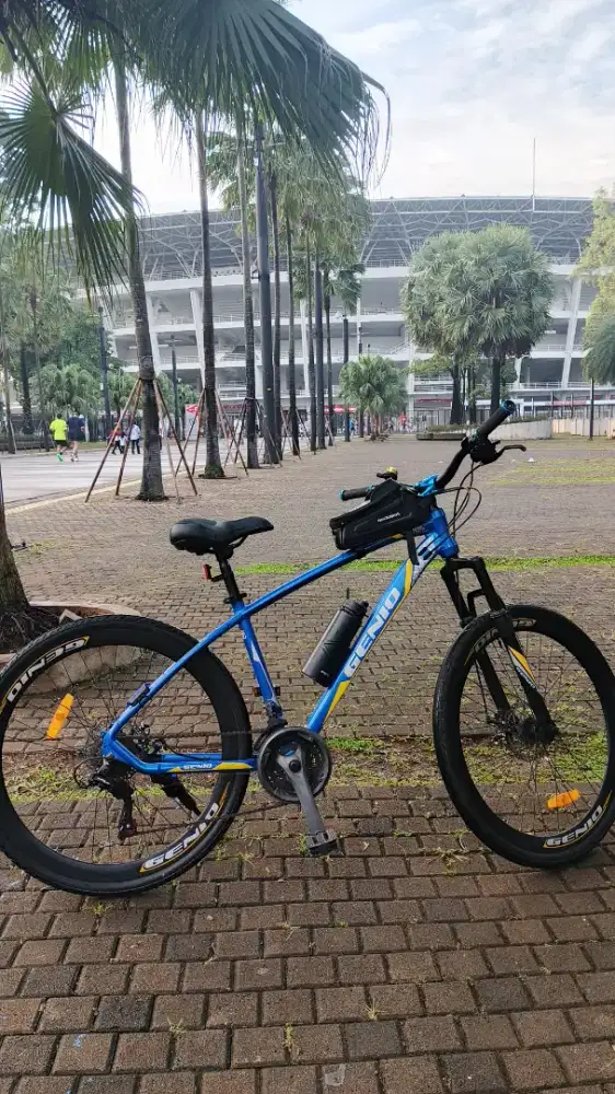 Sepeda MTB Genio M541
