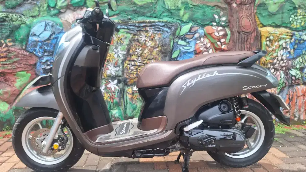 Honda Scoopy Stylish