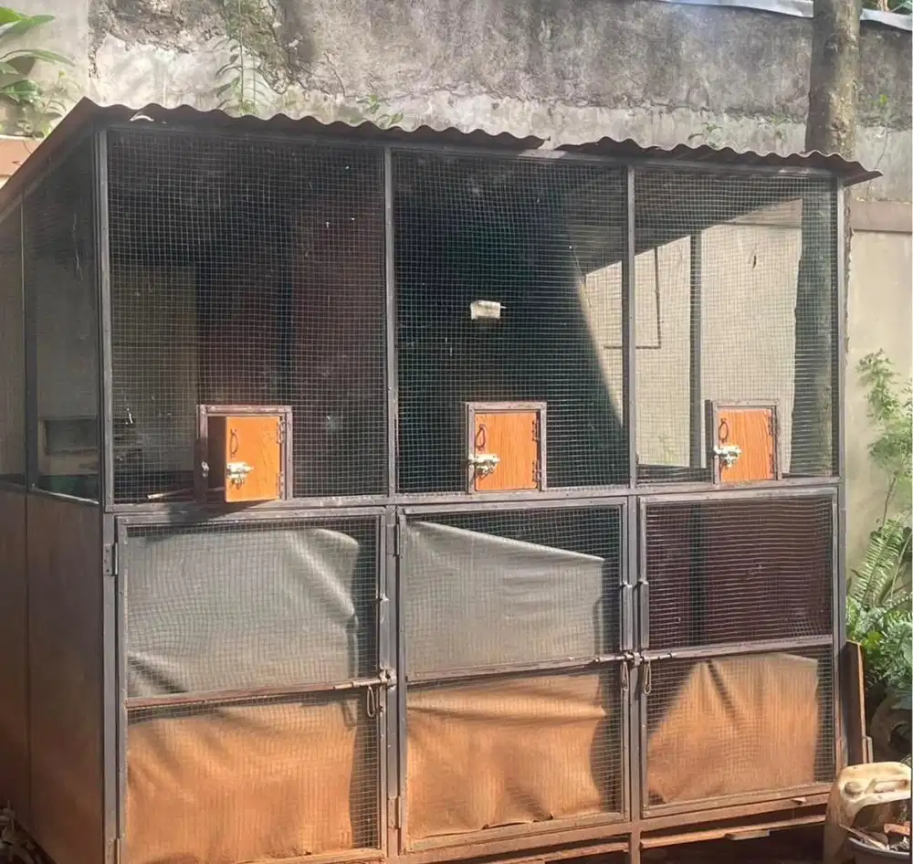 Kandang Burung Besar Buat Ternak