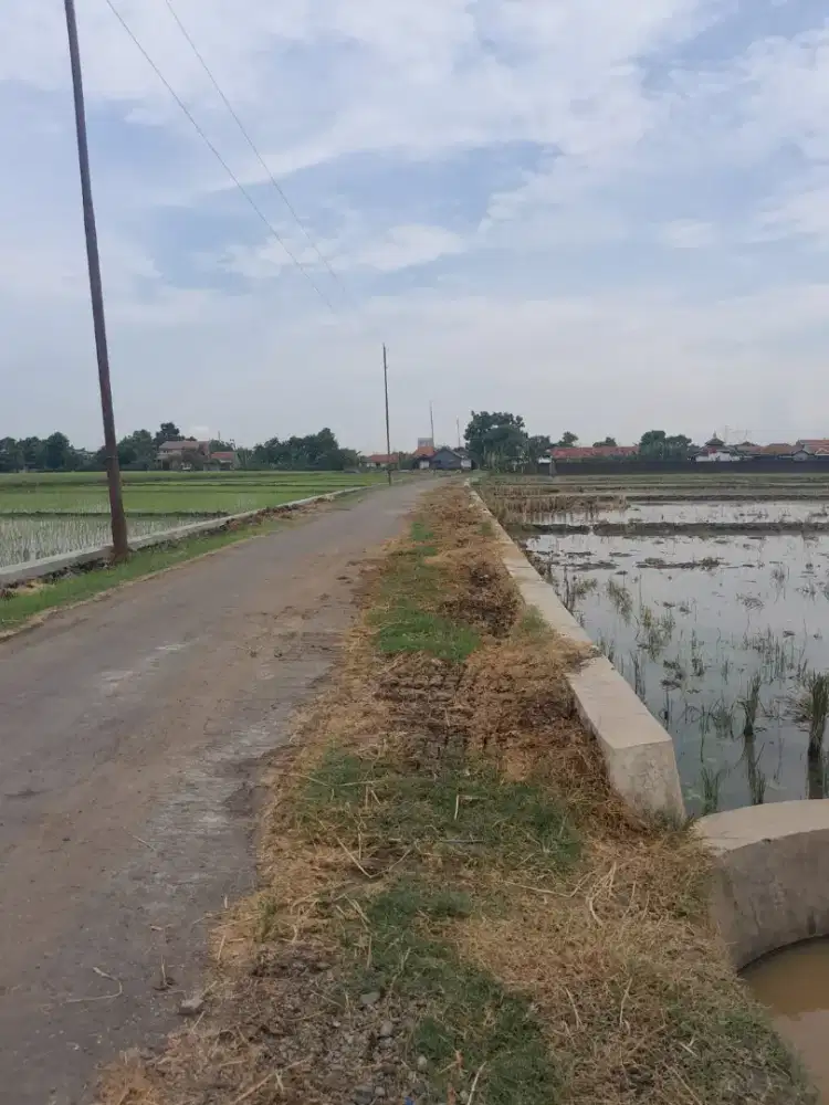 Dijual Sawah Pinggir Jalan di Pemalang