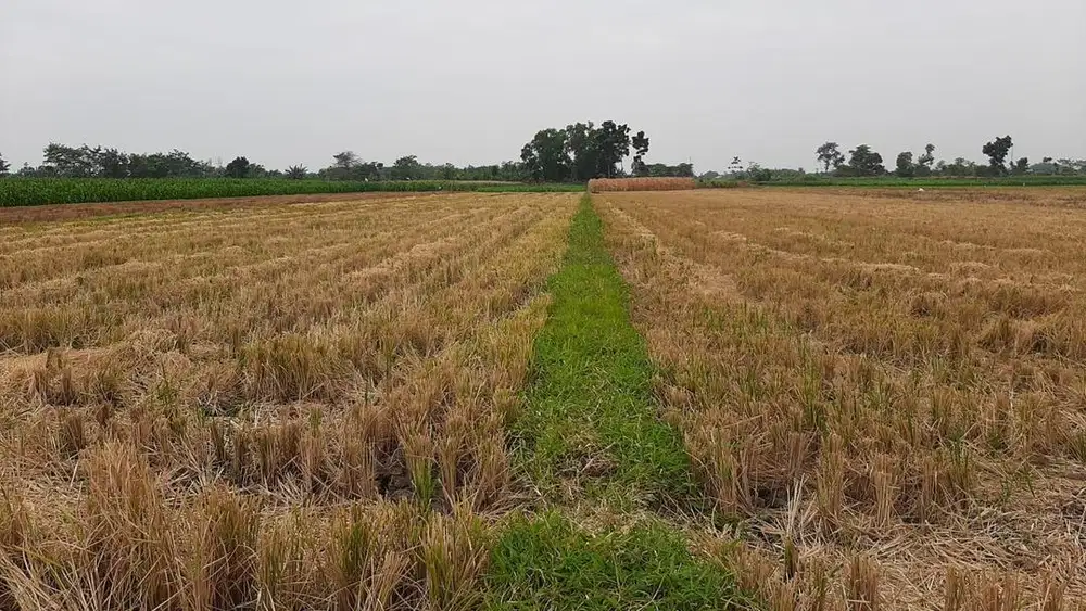 Dijual Cepat & Murah tanah di Kendal