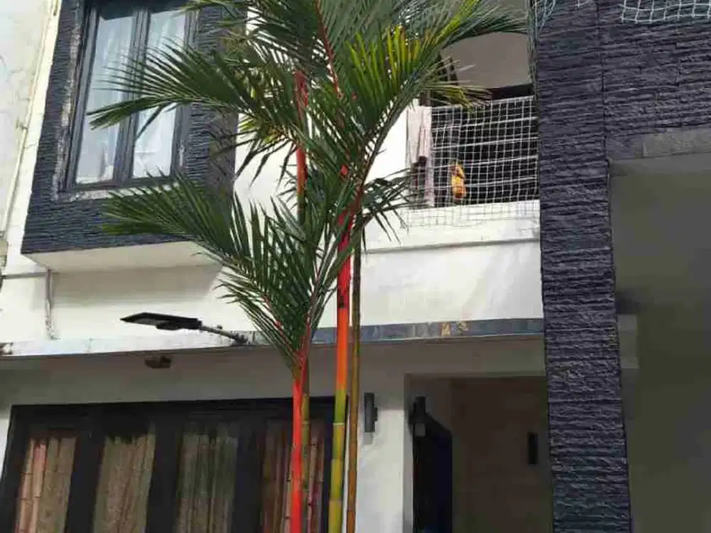 rumah minimalis elegan di mampang prapatan , jaksel