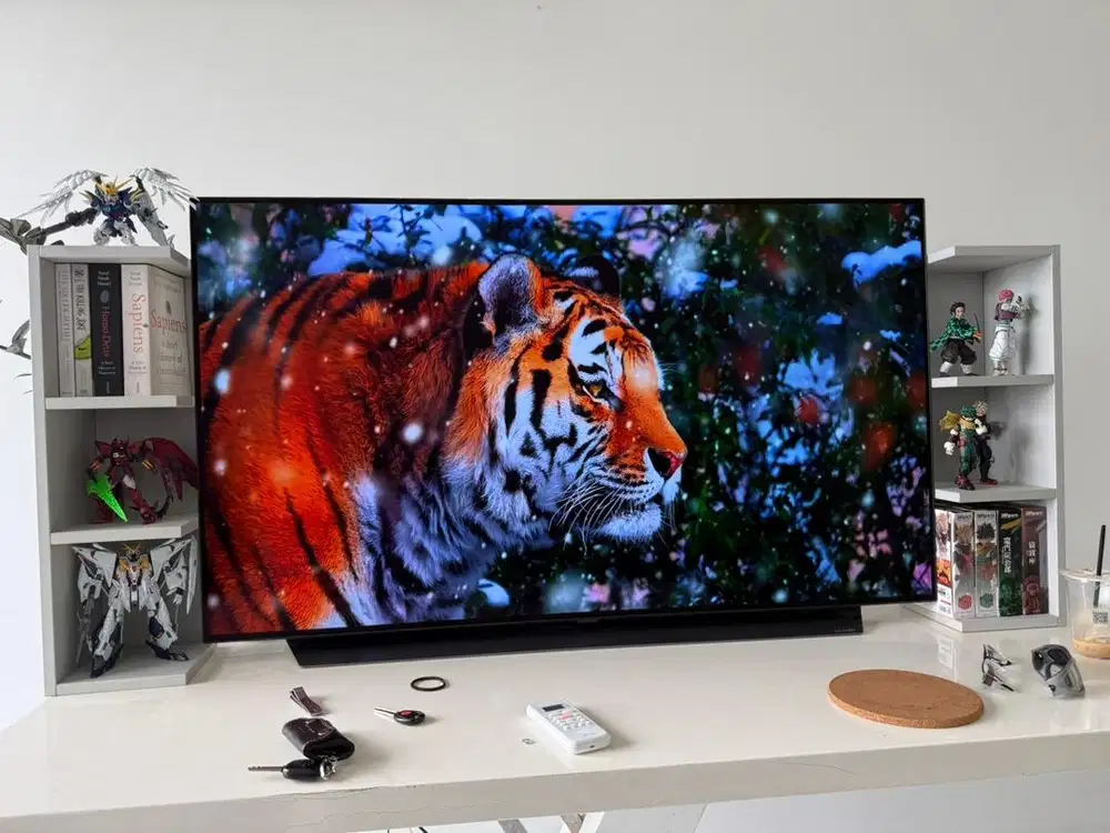 TV LG 55OLEDCS 55 Inch OLED 4K