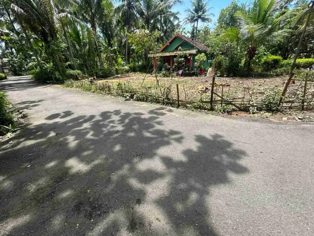 Tanah Murah dekat kantor kecamatan, panjatan, Kulon Progo, Yogyakarta