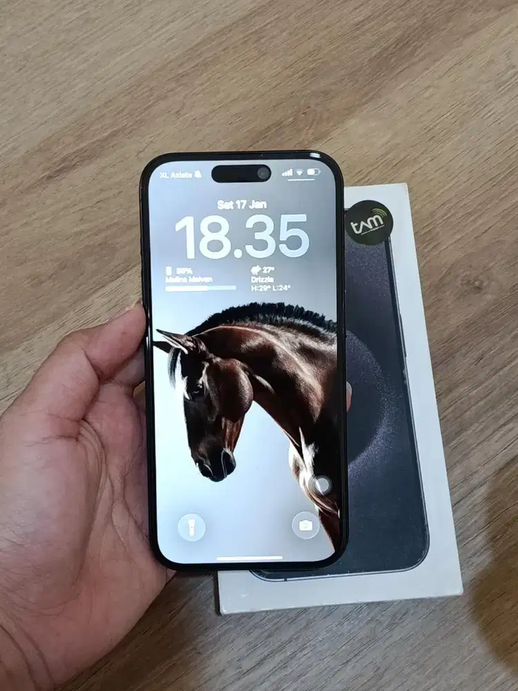 iPhone 15 Pro 256GB (Black Titanium)