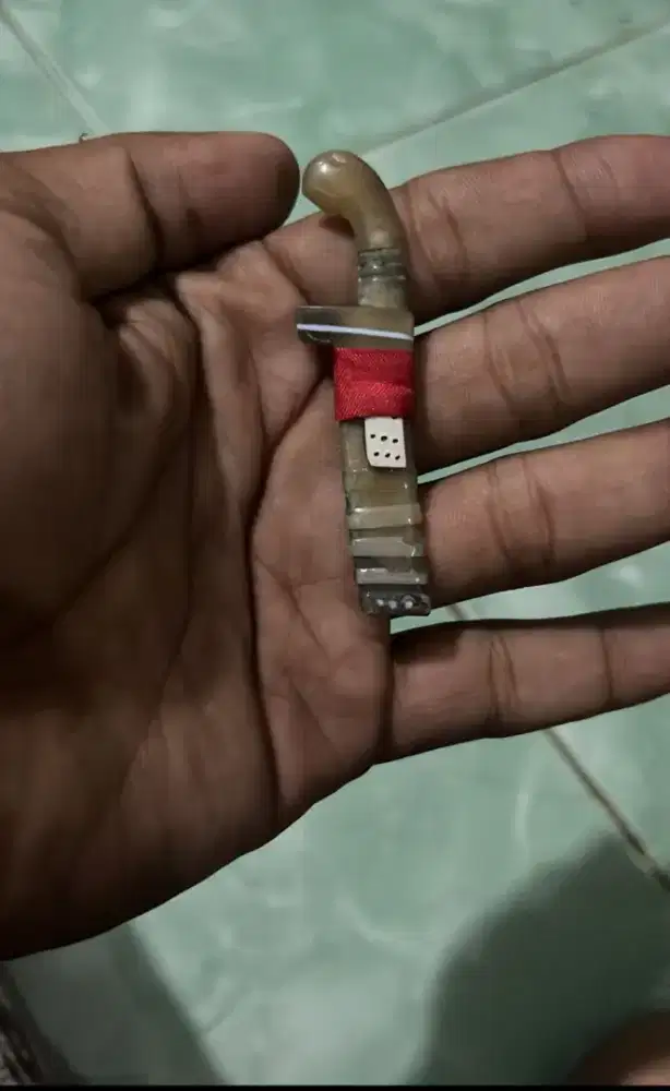 Gocil Ciomas tanduk kebo bule