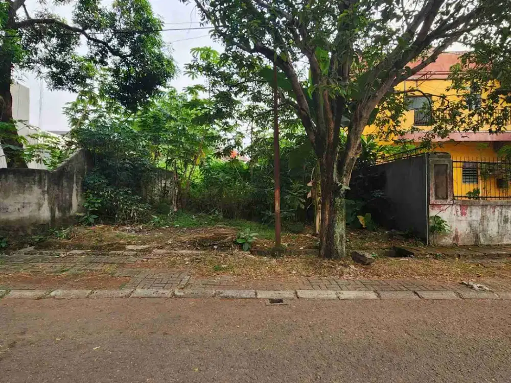 Kavling Badan Termurah Di Bsd Anggrek Loka