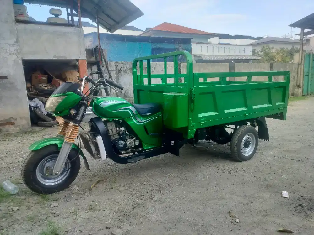 Viar 300 long no minus