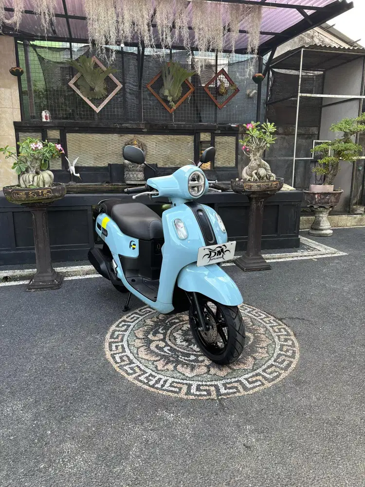 Fazzio neo 2023 mulus original