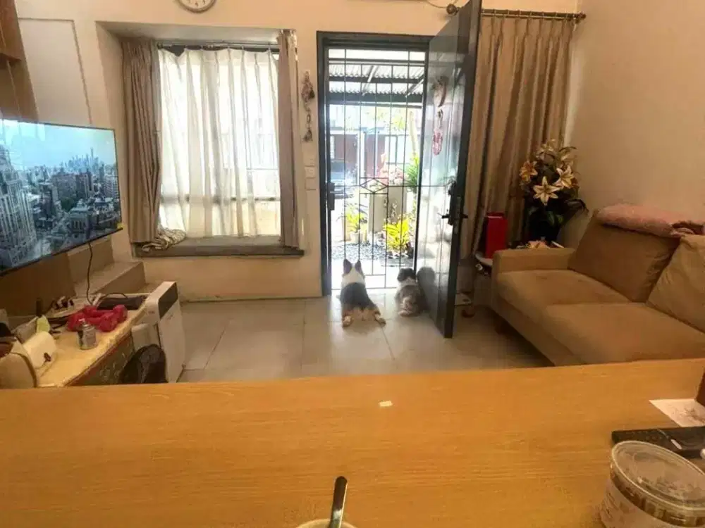 Disewakan Rumah Invensihaus®, Tabebuya Bsd City