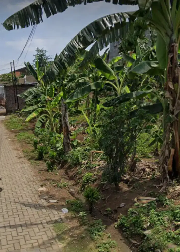 TANAH SIAP BANGUN GUNUNG TALANG BENDAN DUWUR GAJAHMUNGKUR