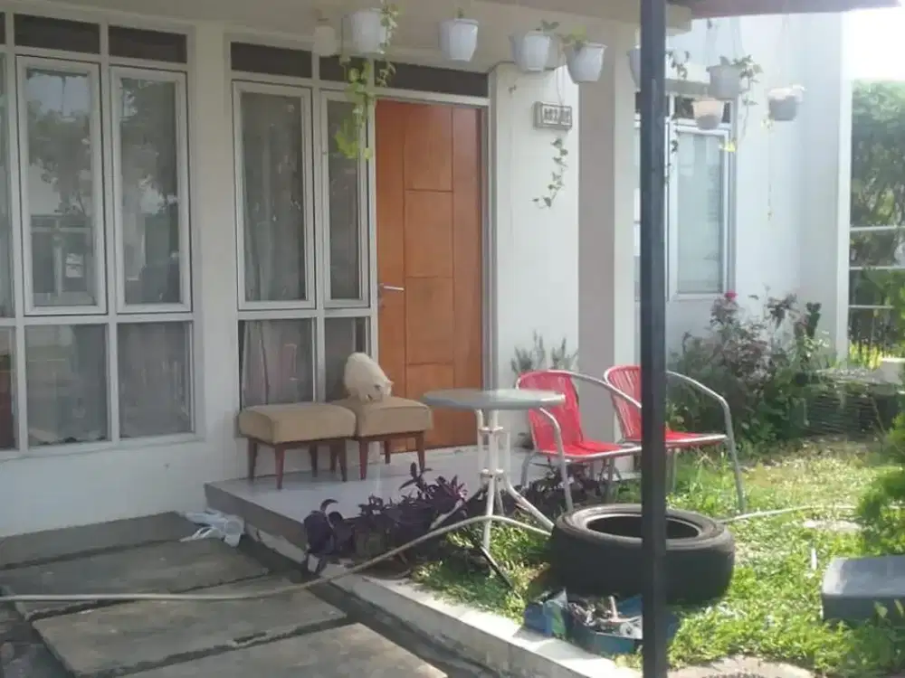 Sangat Murah Rumah Hook Premium