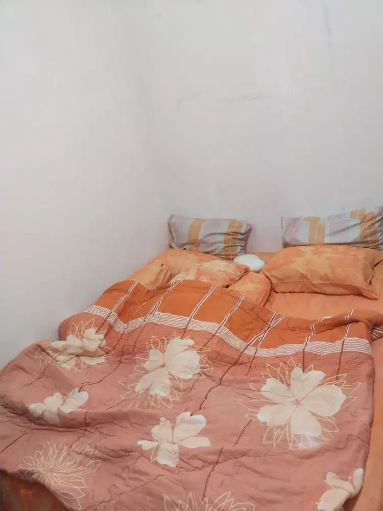 Kasur busa springbed