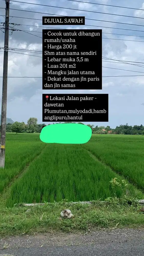 Dijual sawah 201 m