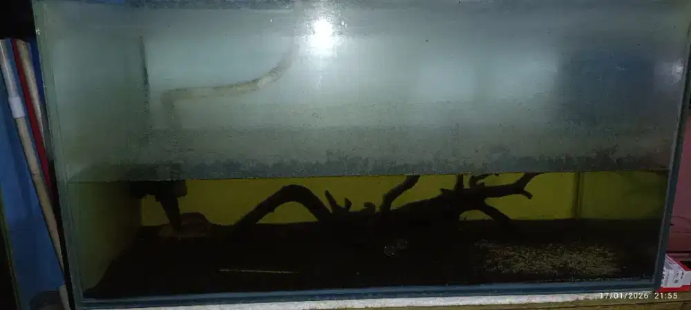 Aquarium Borongan 5 pcs