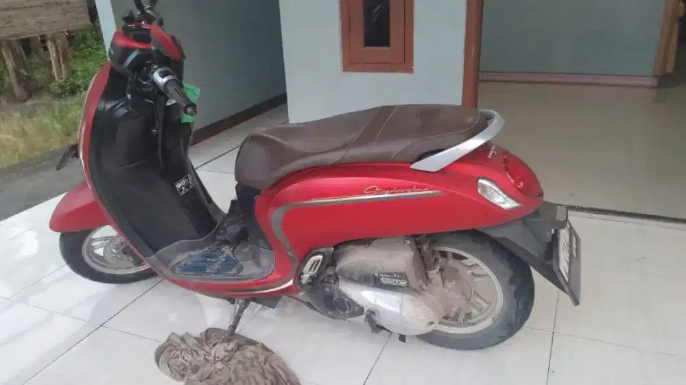 Honda Scoopy stylish 2022