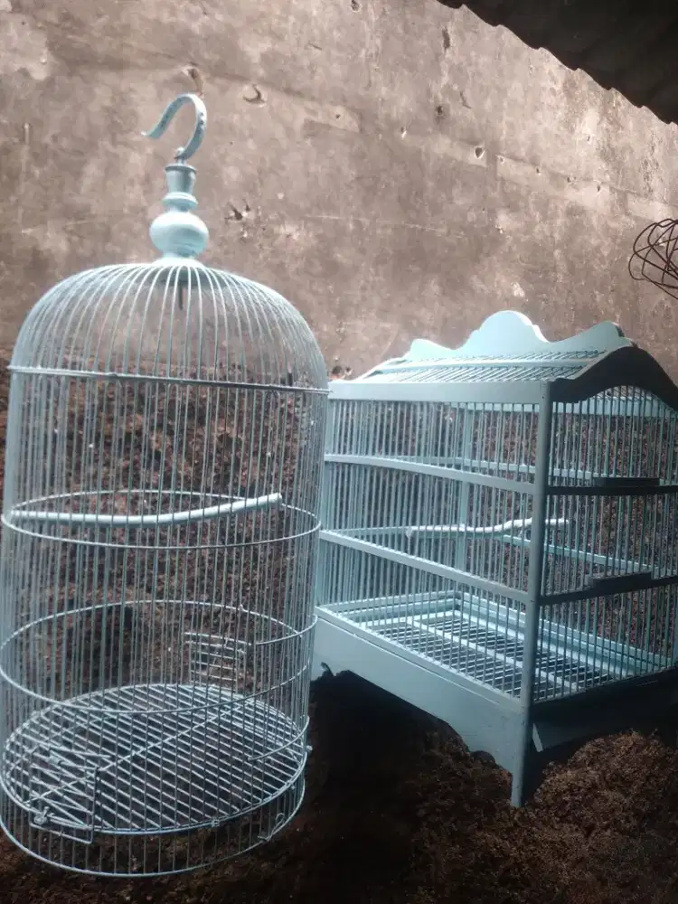 Jual sangkar biru