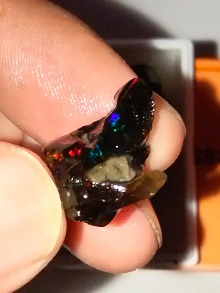 Kalimaya Black Opal Fire Colour Natural – Video Ready