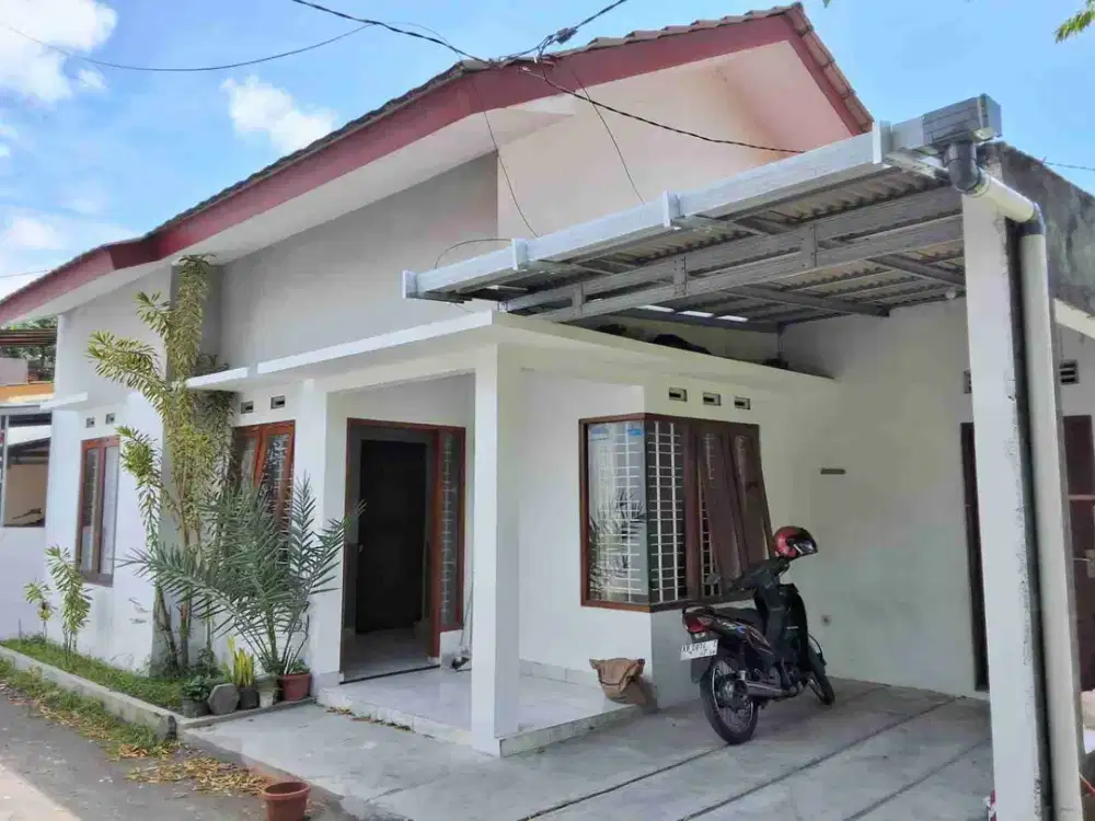 Rumah sewa area jl. damai