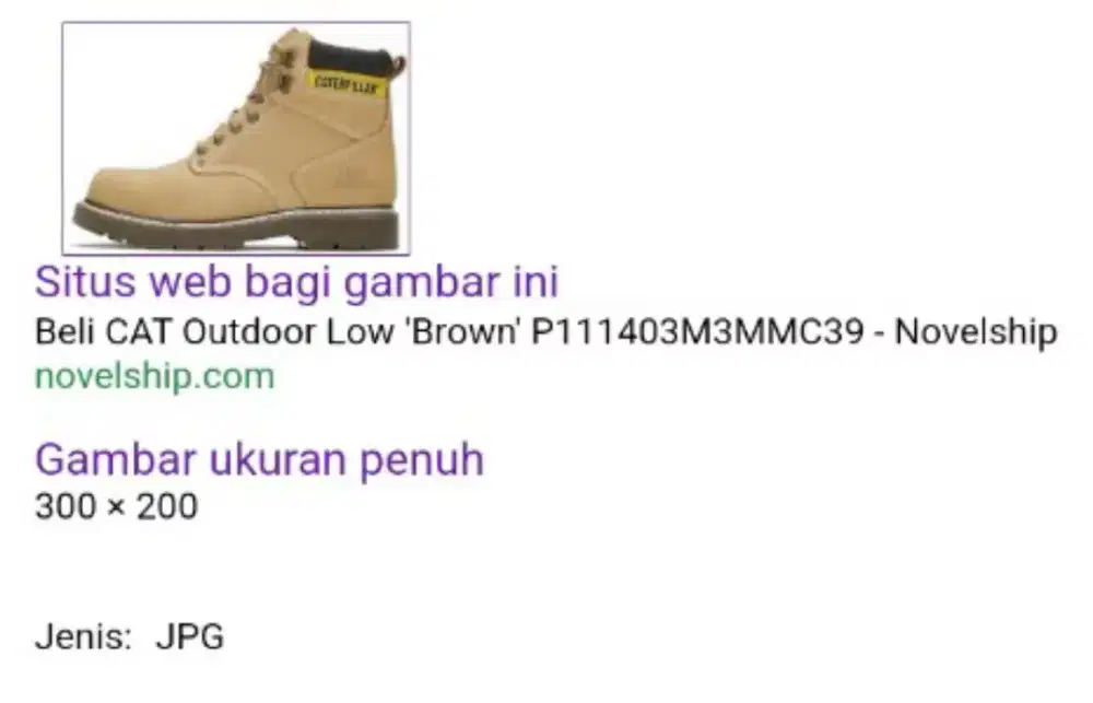 Sepatu cat outdoor low