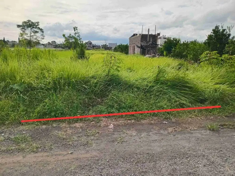 Tanah sawah, Murah, akses jln lebar mobil papasan di Gedongan Sinduadi dkt JCM MALL, UGM, TUGU JOGJA, MALIOBORO,UTY