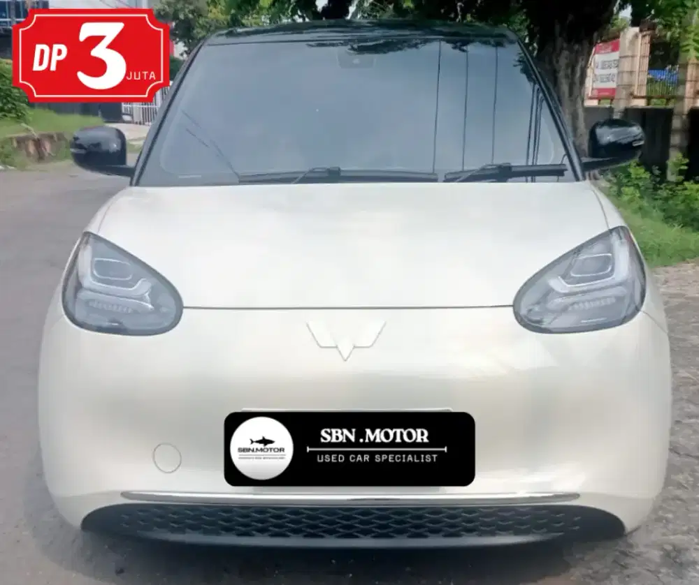 Wuling Binguo EV Prem ACDC  2024 Listrik