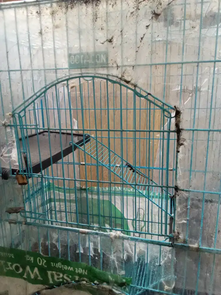 kandang kucing tingkat 3