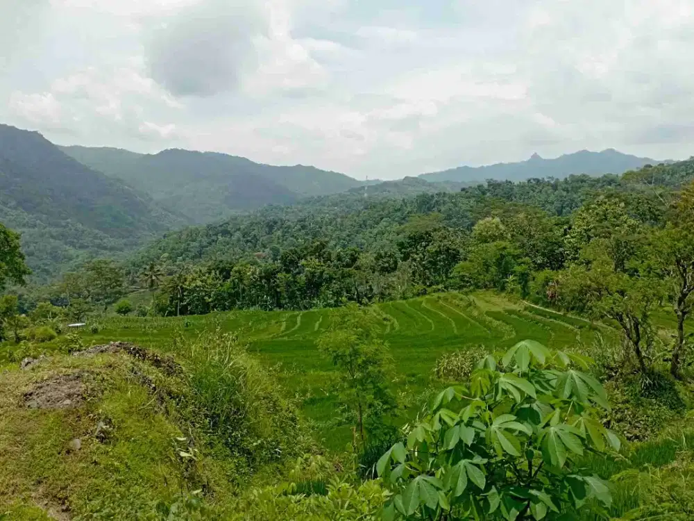 Tanah Murah View indah di Samigaluh Kulon Progo