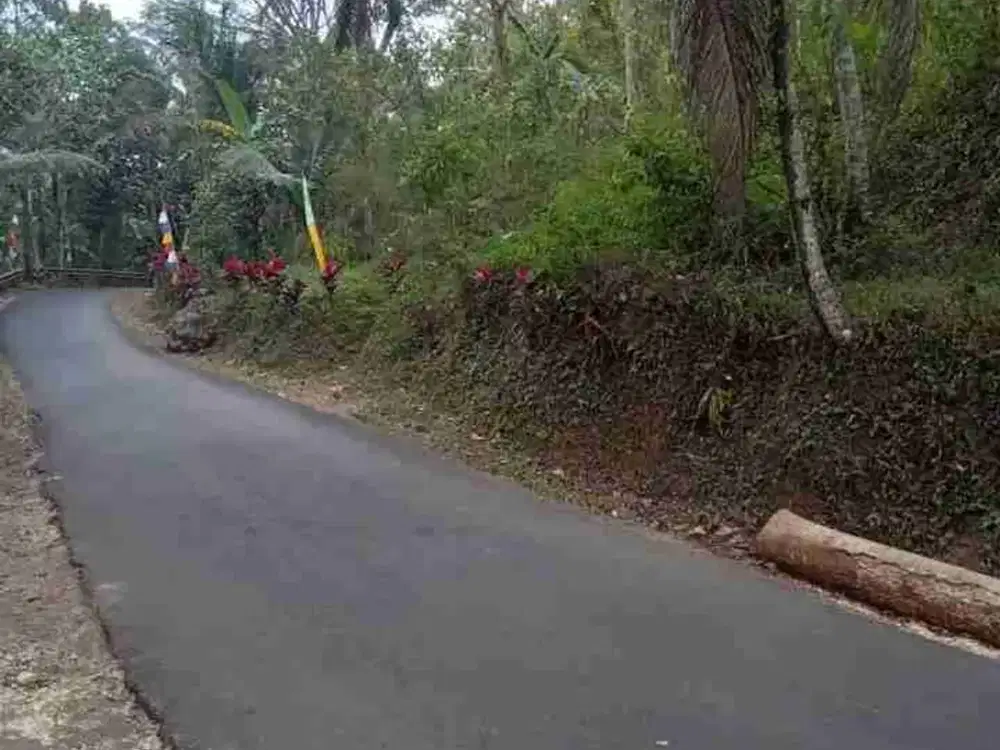 Super Murah Tanah Dijual Di somongari ,Kaligesing, Purworejo, Jawa Tengah