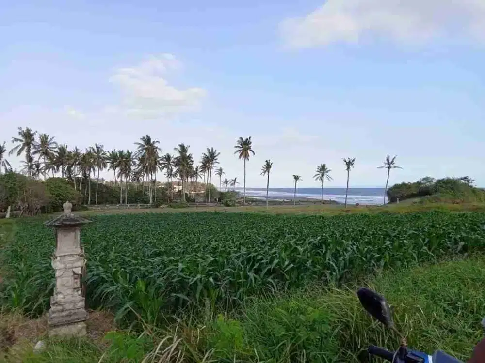 Tanah Los Pantai Pasut Tabanan 1 Ha, ITR Wisata
