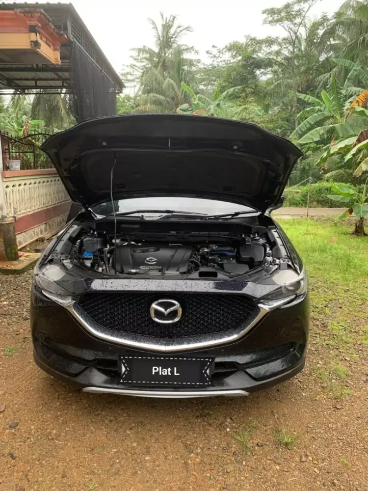 CX5 Elite 2019 pmk 2020 , Pemakaian Pribadi
