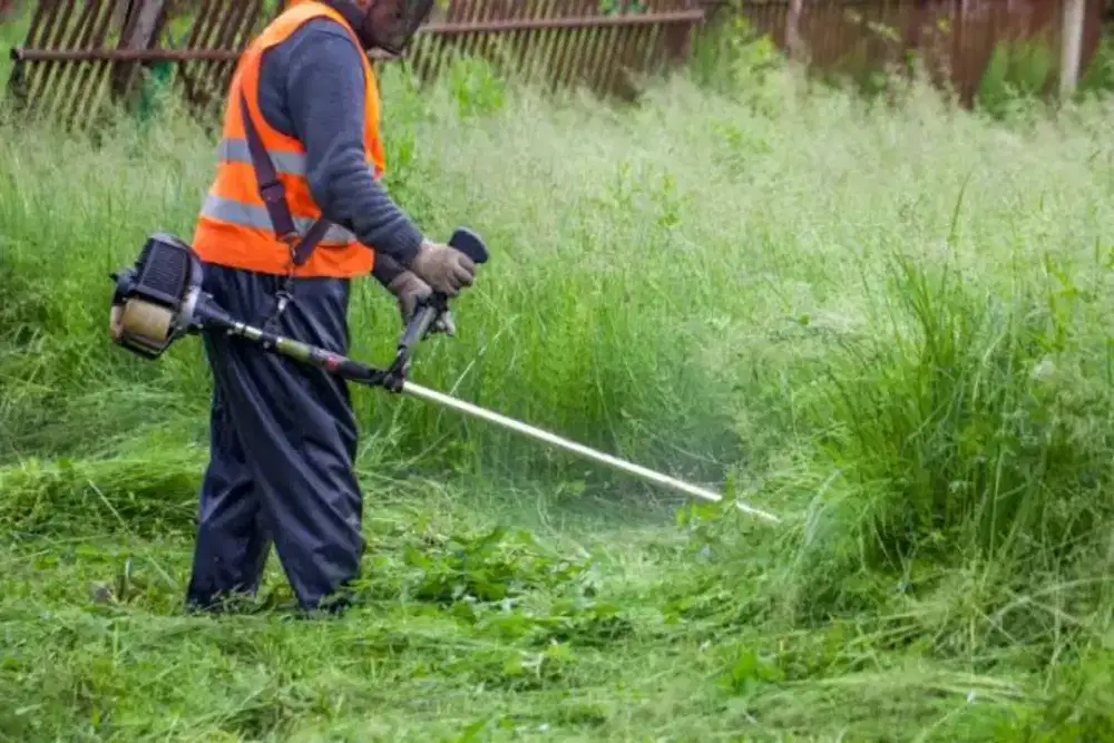 Jasa potong rumput dan pphon