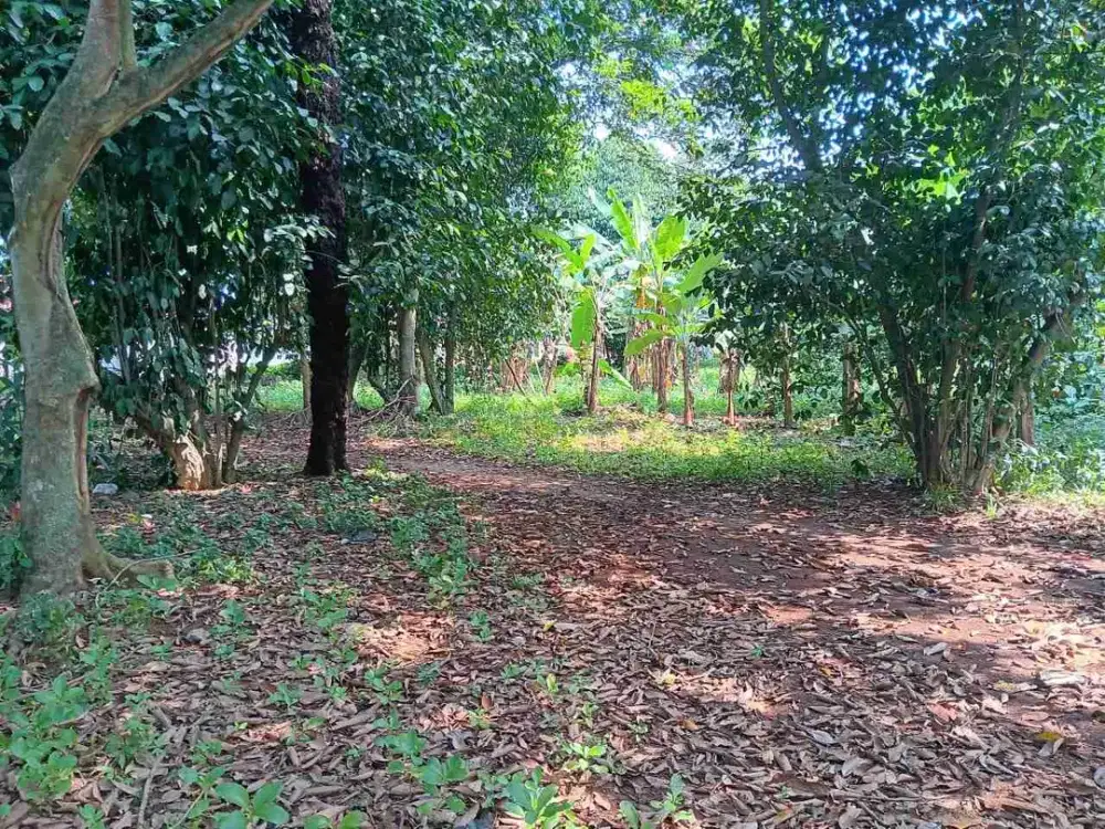 di jual tanah 3830m shm bisa termin di jati warna bekasi