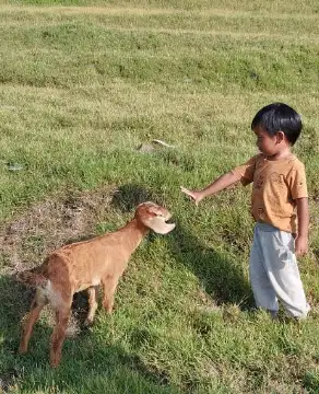 Lowongan ART menginap daerah cijerah