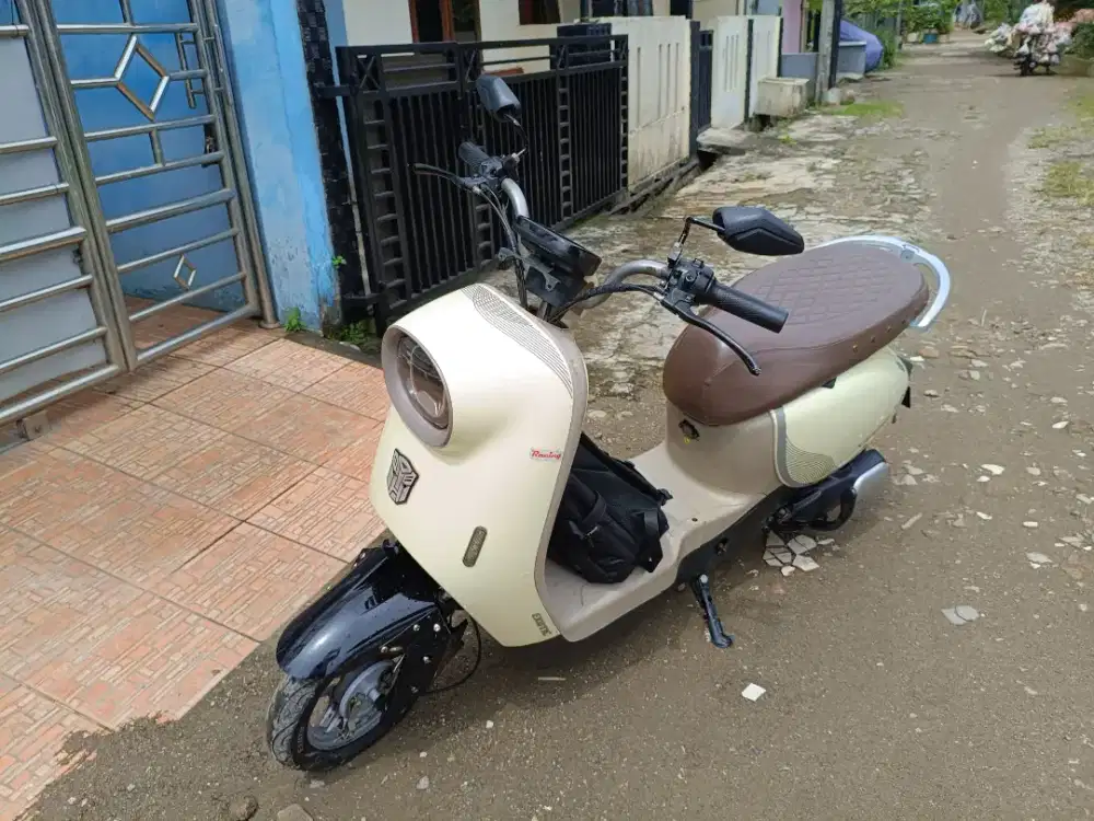 Jual sepeda listrik Exotic Varilux Pro 650 watt