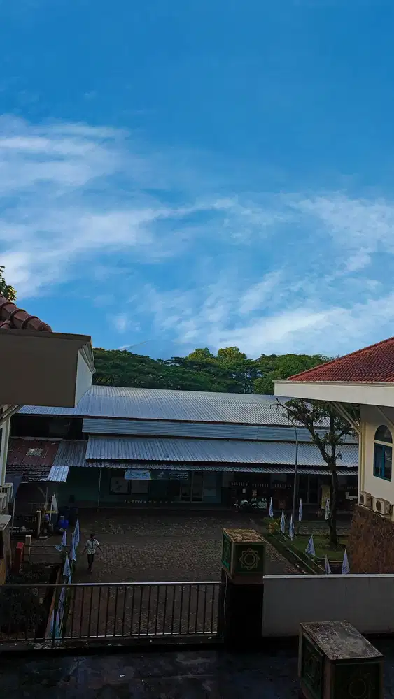 Digital Marketing Expert