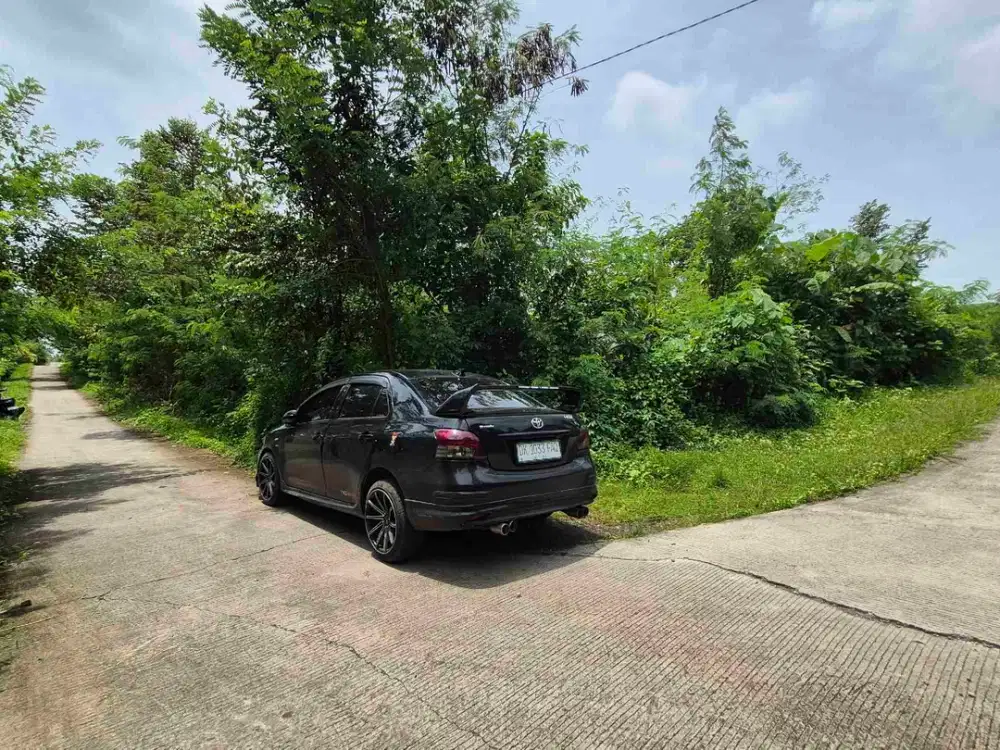 TANAH KEBUN 1.46 HEKTAR COCOK TERNAK DI KALIAKAH JEMBRANA