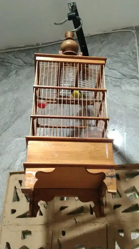 Sogon fs full nopeng