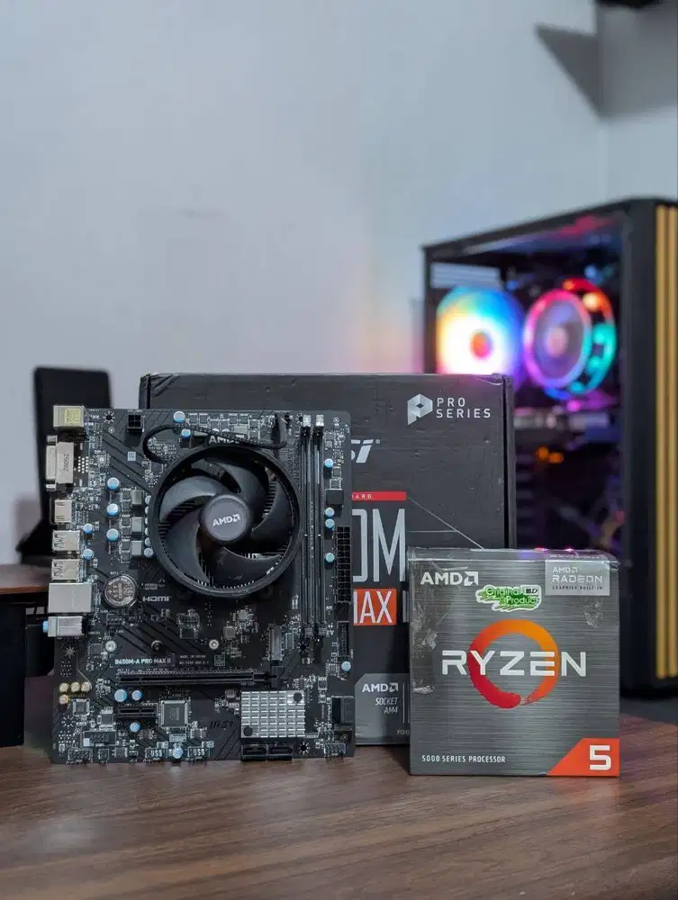 Ryzen 5 5600G + MSI B450M