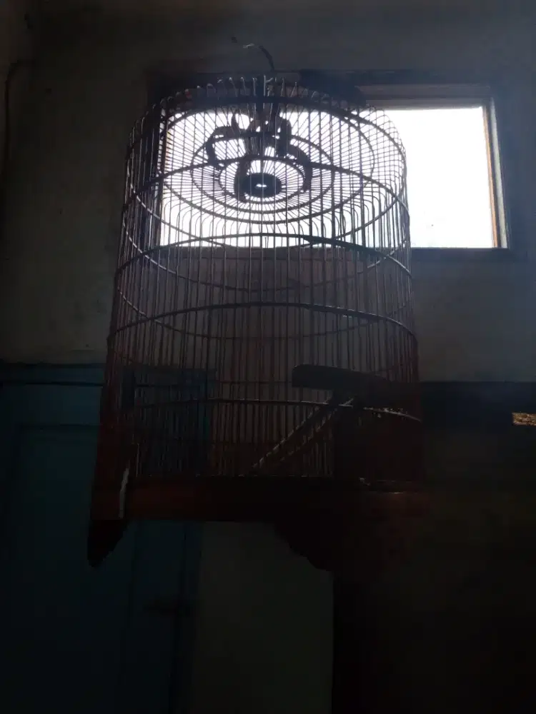 Di jual kandang murai no 2