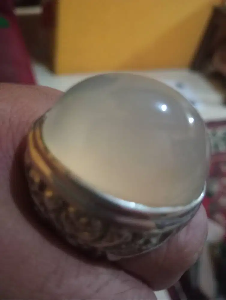 Baru Anggur lawas jumbo