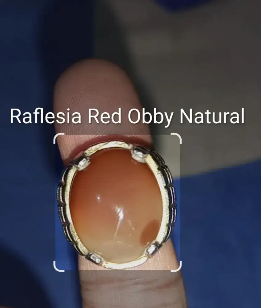 Raflesia Red Obby Natural