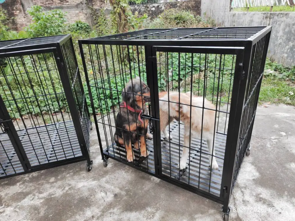 Kandang Anjing ras besar