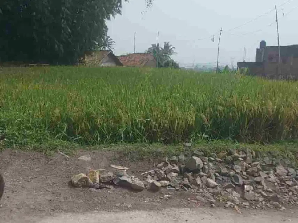 JUAL CEPAT TANAH MURAH CIPARAY