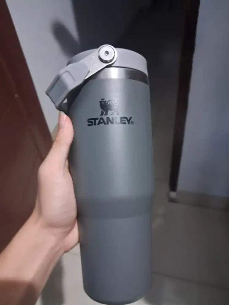 Stanley IceFlow Flip Straw