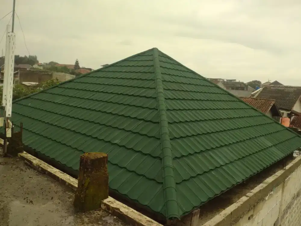 Kanopi baja ringan atap rumah