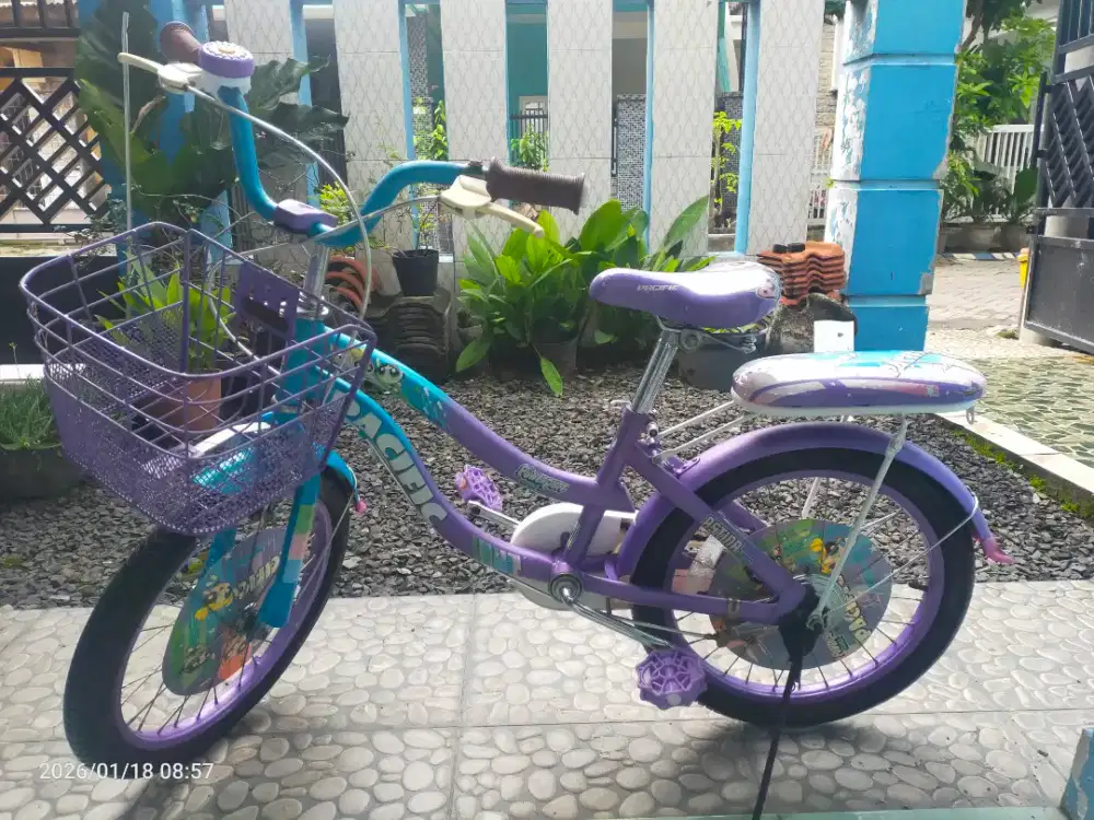 Sepeda mini 18 merk pacific