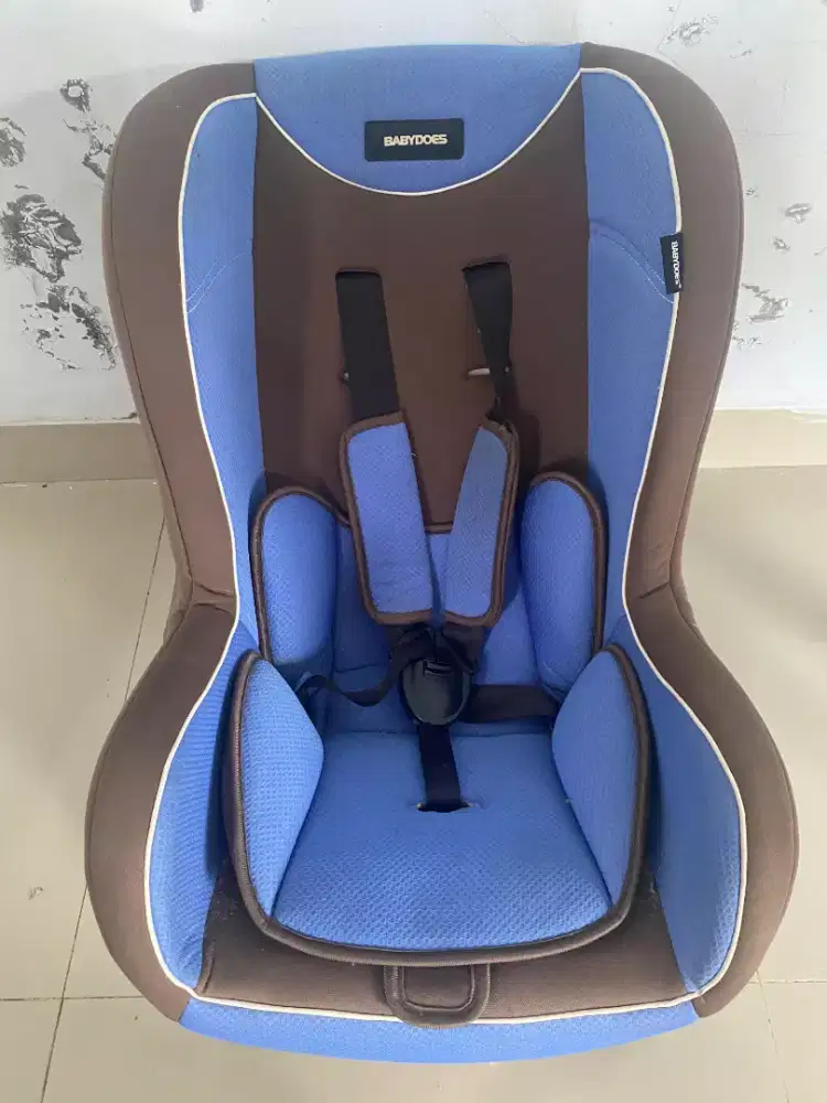 Baby Carseat Babydoes