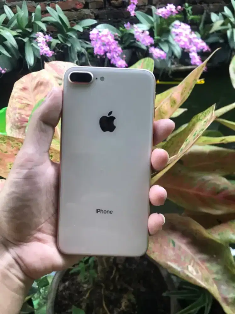 iPhone 8 plus 64 GB all operator